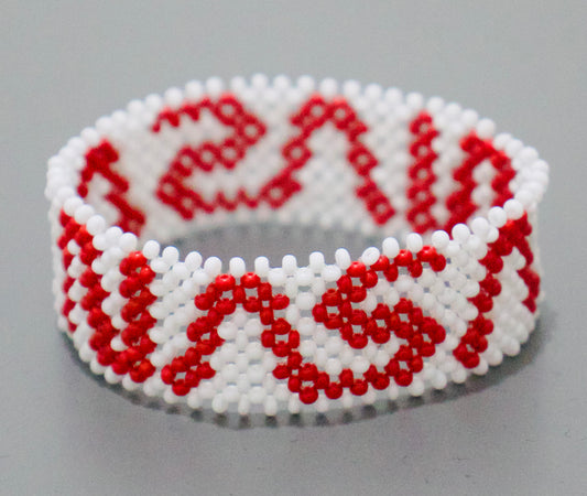 White NASA bracelet